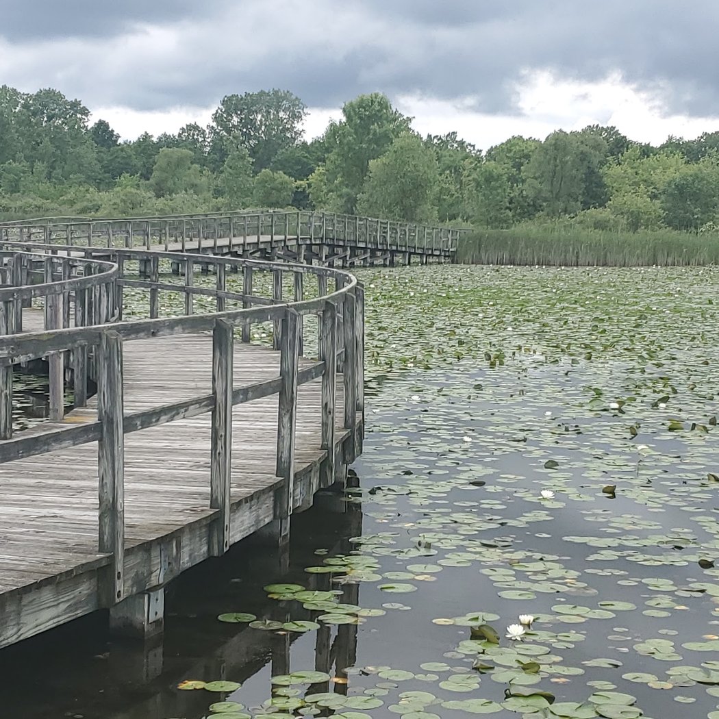 Waterway cleanup and canoe day 3