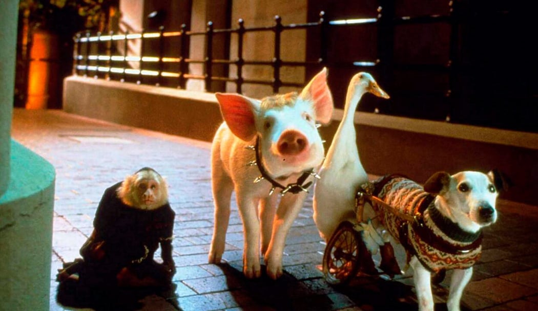 Babe, le cochon dans la ville 2