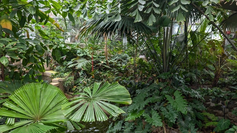 United States Botanic Garden 3
