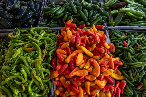 Sunnyvale Farmers Market 1