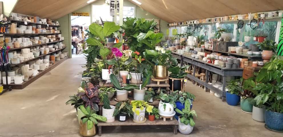 Encinal Nursery 1
