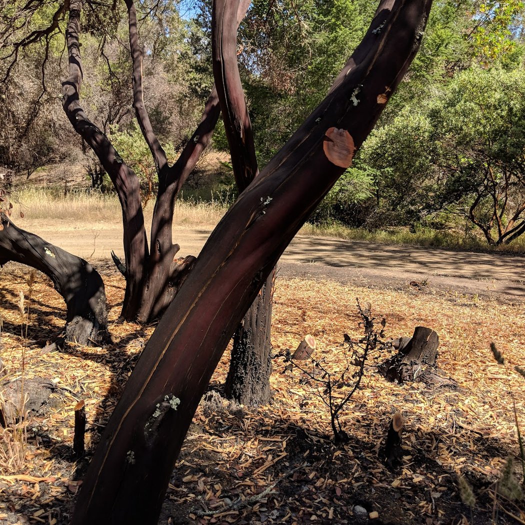 Petrified Forest Rd 3