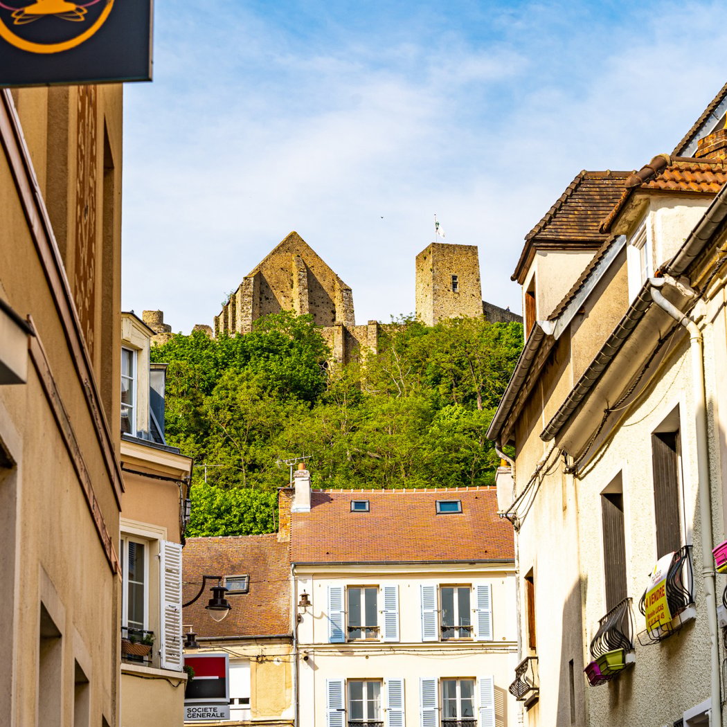 Château de la Madeleine 2