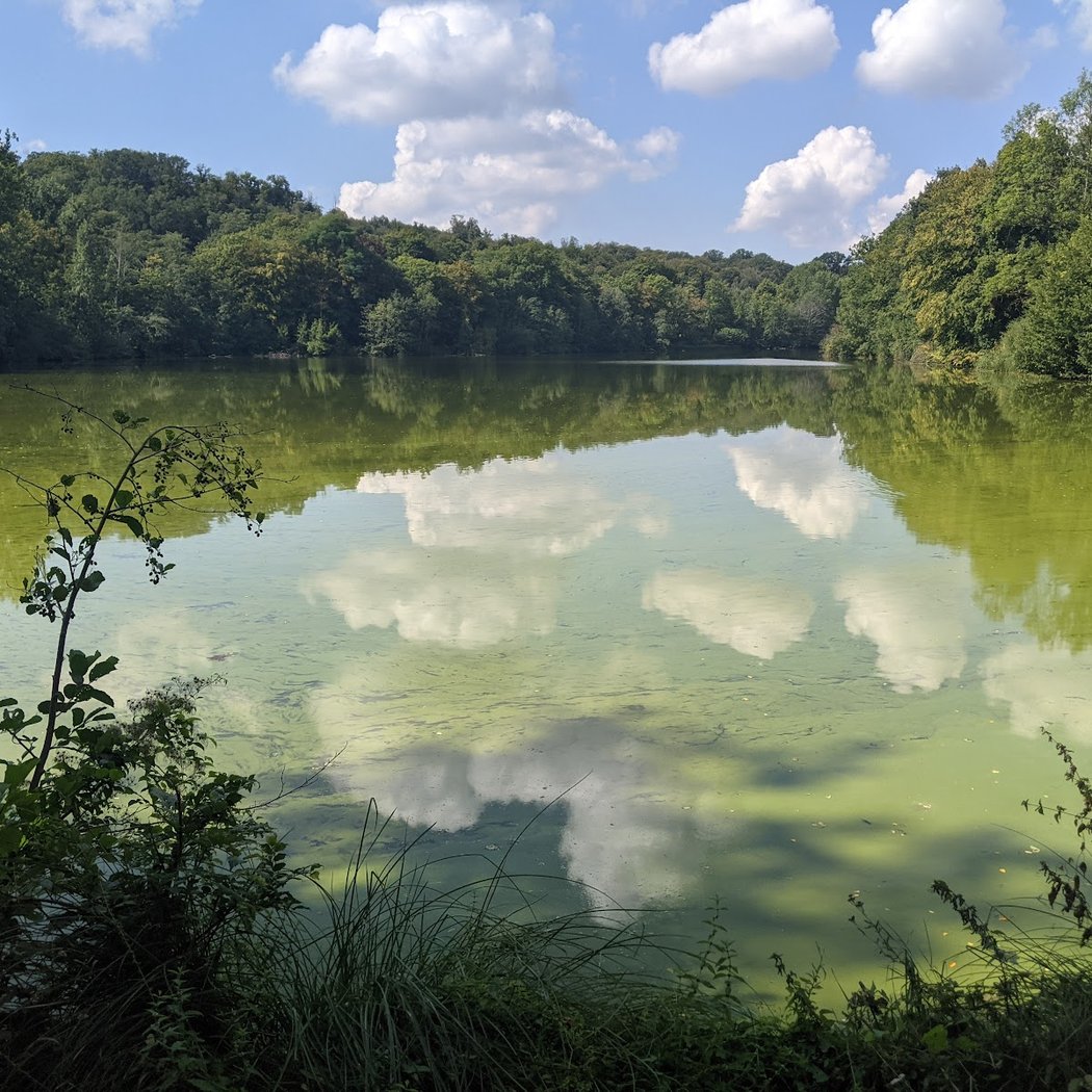 Étang de la Minière 3
