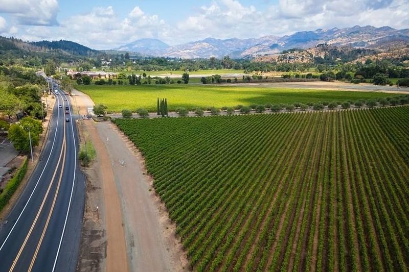 Napa Valley Vine Trail 3
