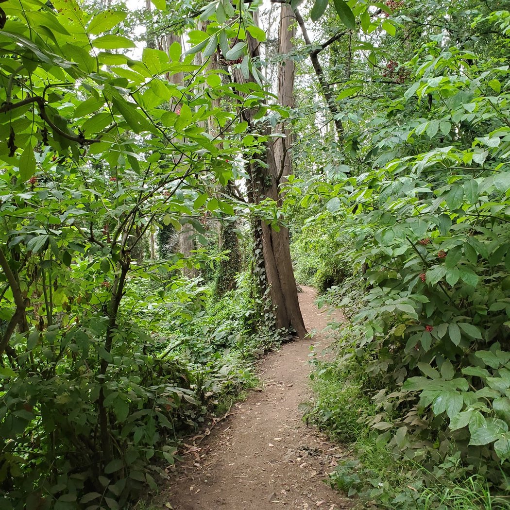 Interior Greenbelt 1