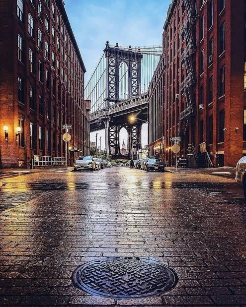 Dumbo Drop 2026 1