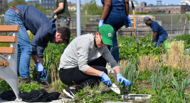 Urban Farm Volunteers