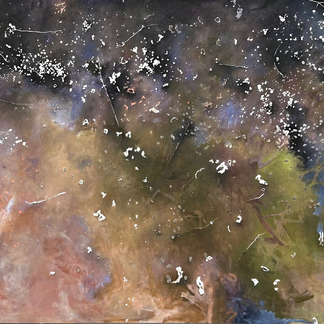 Judith Belzer: Weather Report - Opening Reception 1