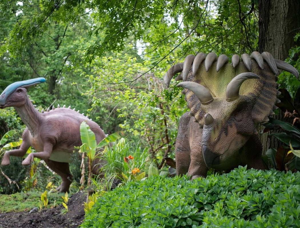 Dinosaur Safari 1