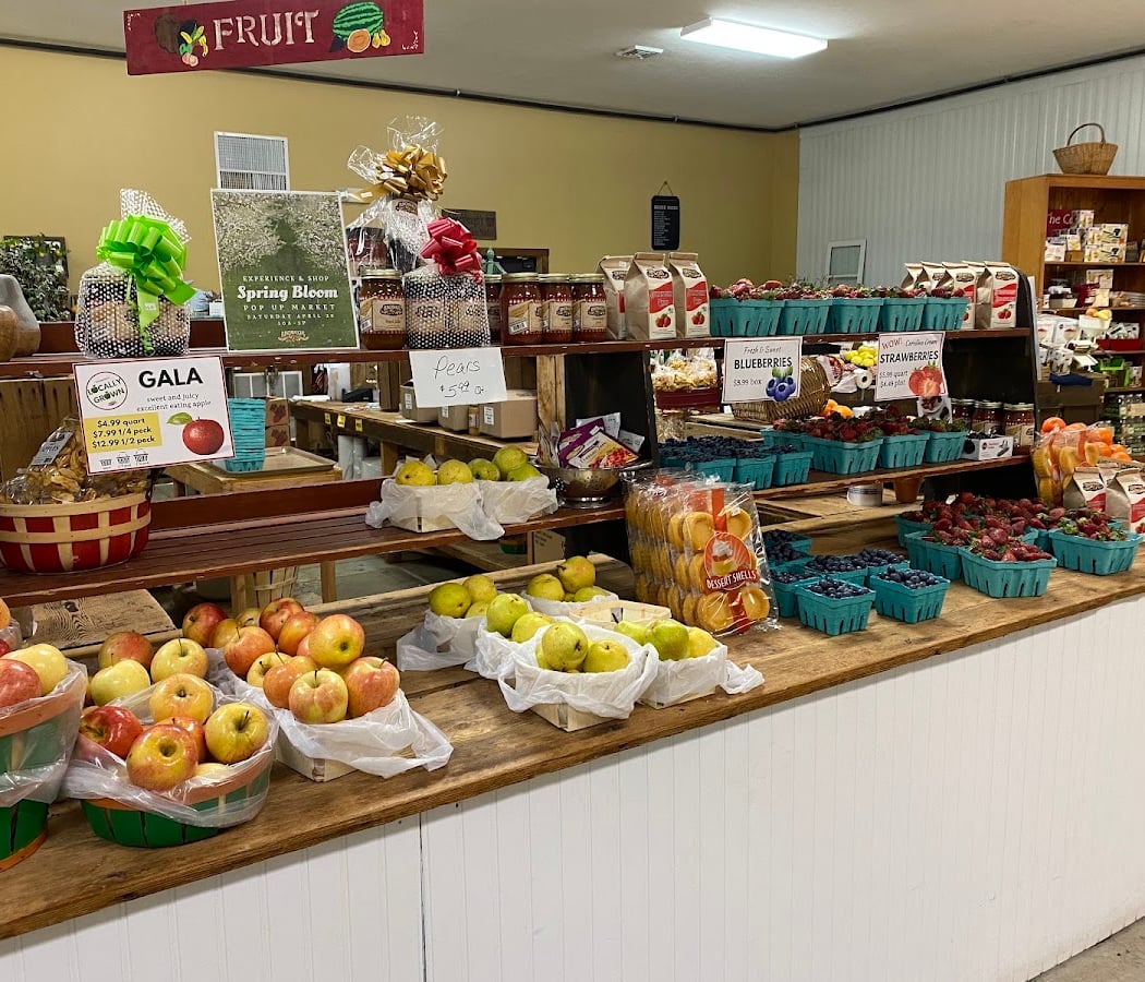 U-Pick Apple Orchard 1