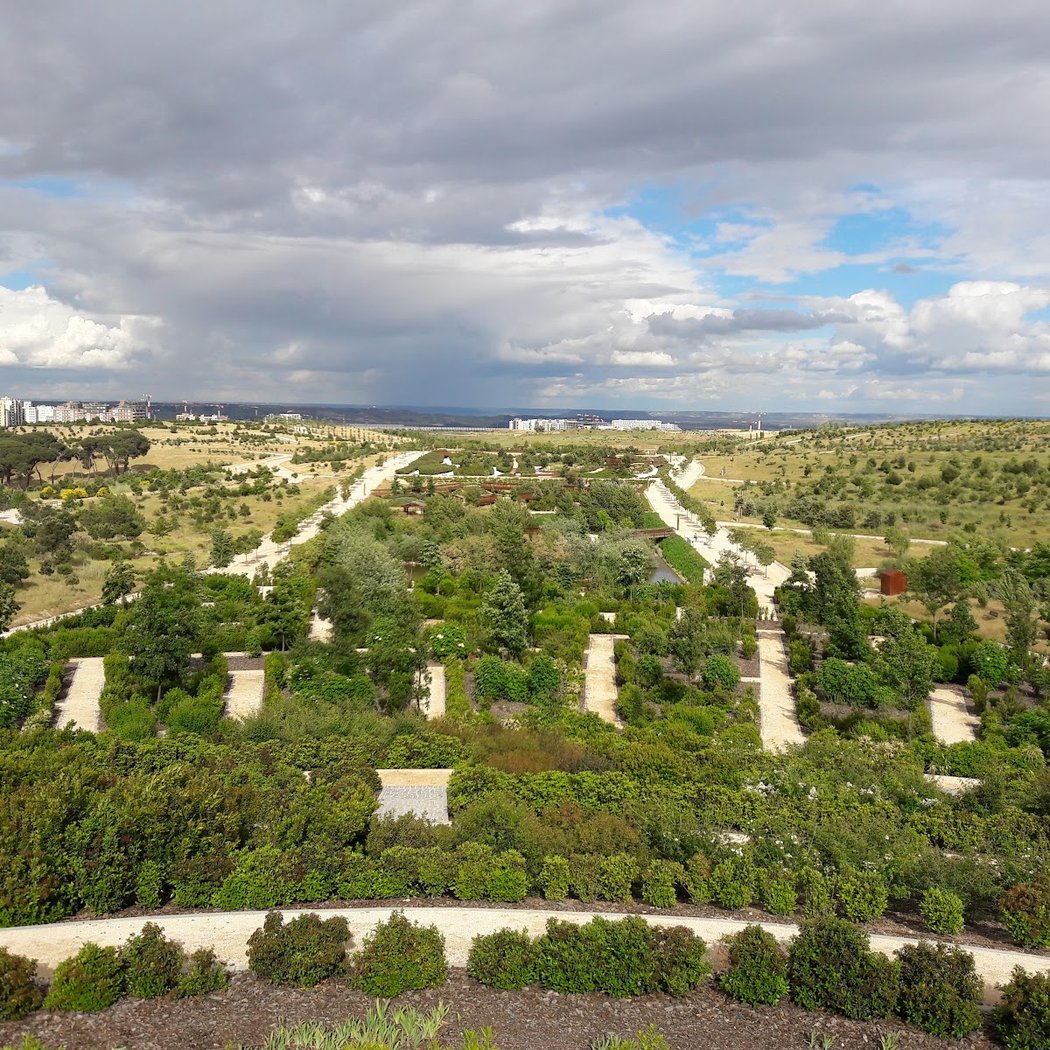Parque Forestal de Valdebebas - Felipe VI 3