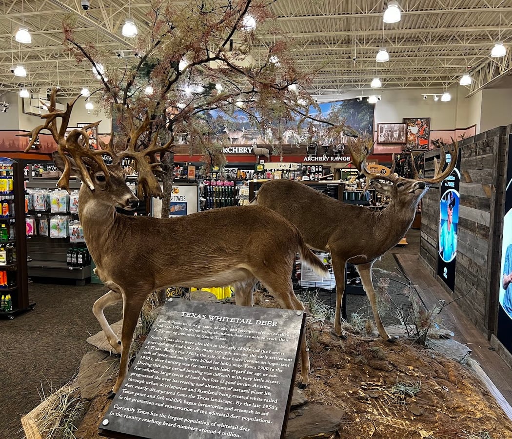 Bass Pro Shops 1