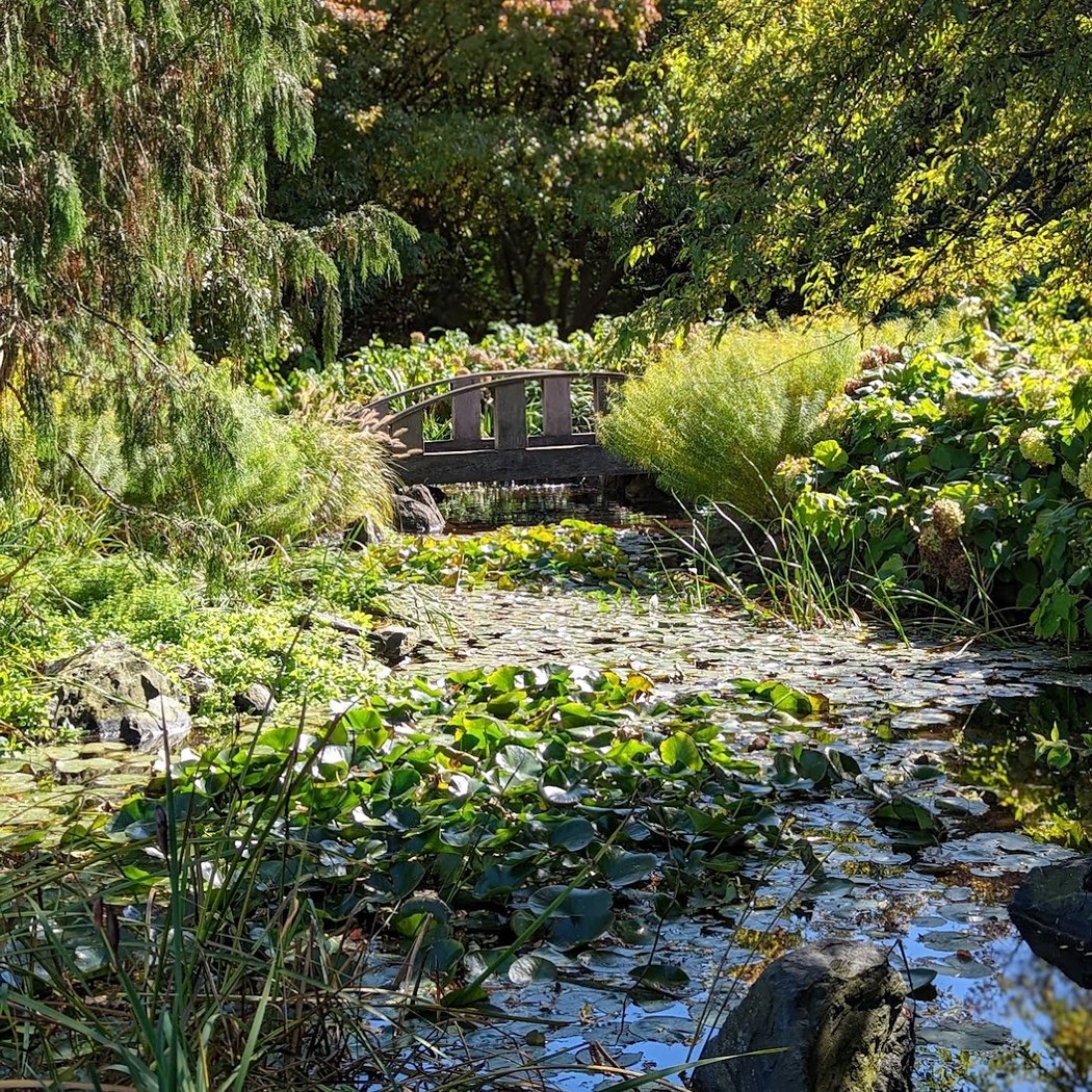 Klehm Arboretum & Botanic Garden 3