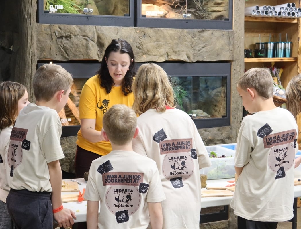 Junior Zookeeper 1
