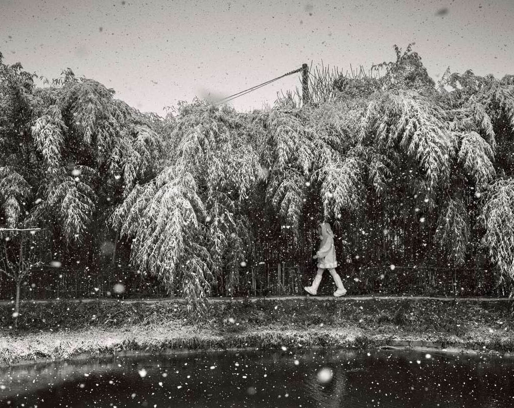 Alain Laboile – La Famille 1