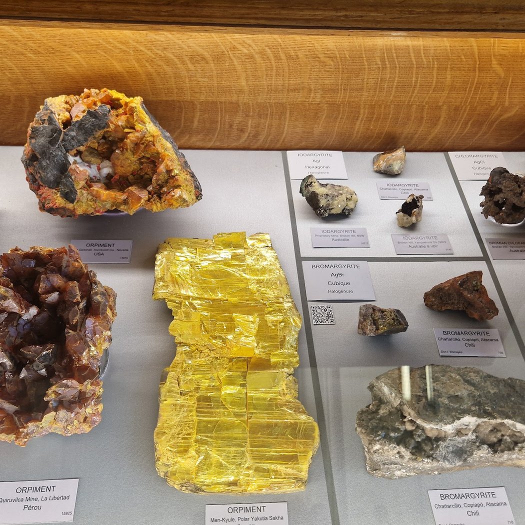 Codex on the Rocks 1