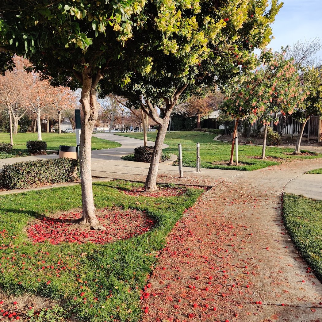 Miwok Park 3