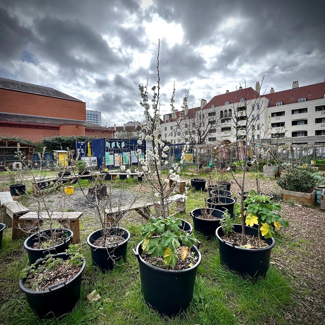 Story Garden 3