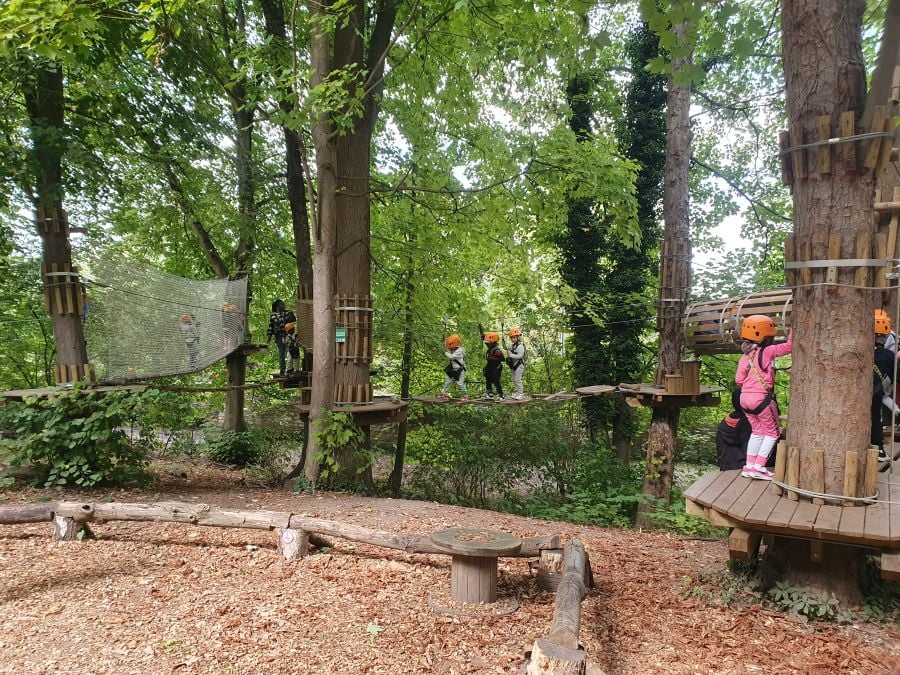 AccroCamp Poissy | Accrobranche Yvelines 78 2