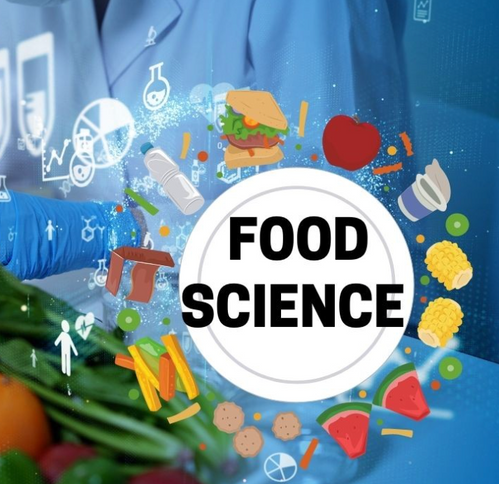 STEAM Food Science Camp 2