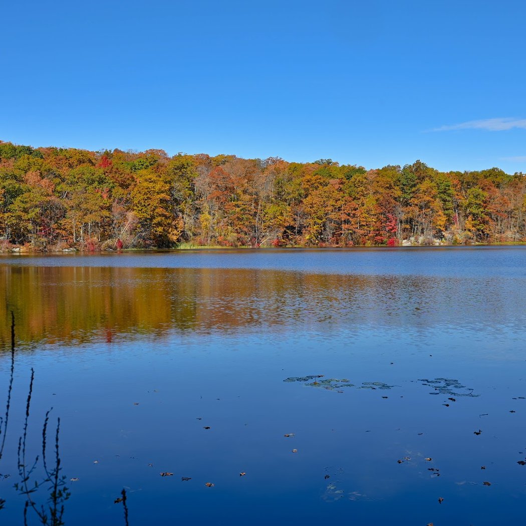 Sweet Maple Saturday: Maple Sugar Kick Off Day 2