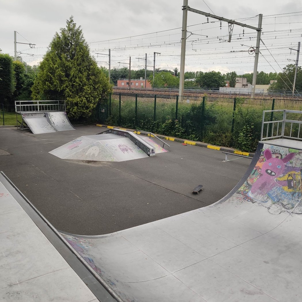 Skate Park Public 1
