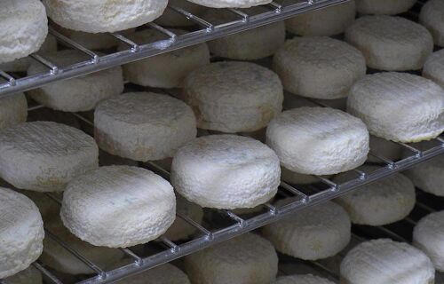 Fromagerie Alléosse 1