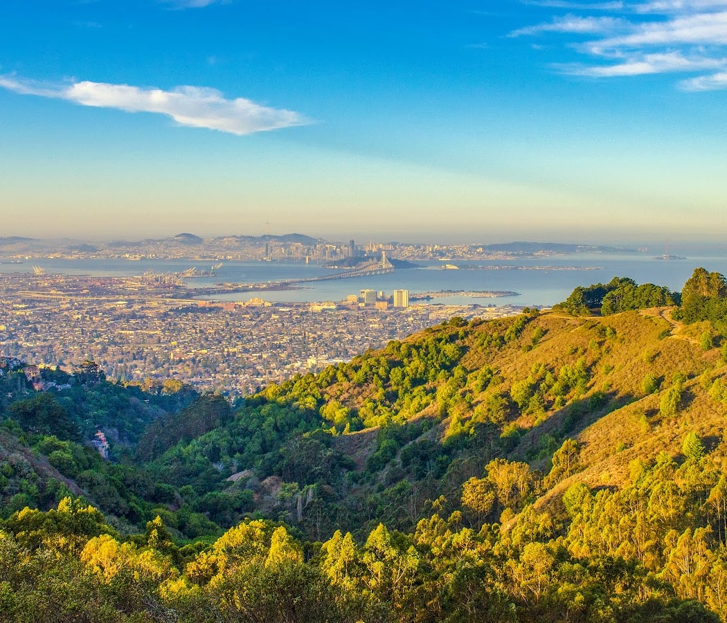 Berkeley Hills 1
