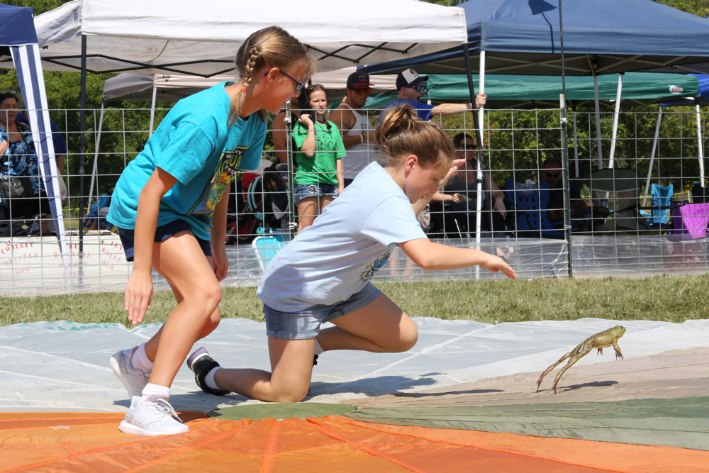 65th Annual Frog Jump 1