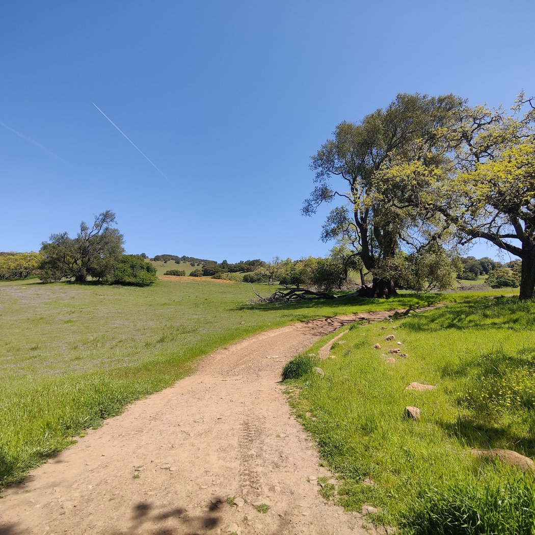 Mt Burdell Hike 2
