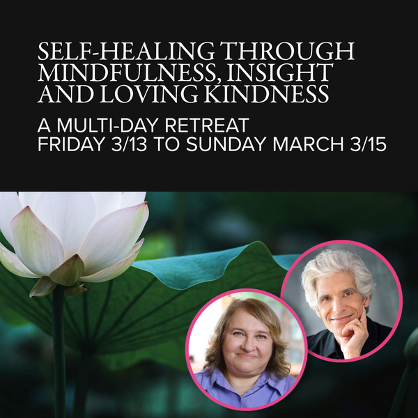 Self-Healing Through Mindfulness, Insight and Loving Kindness Retreat 1