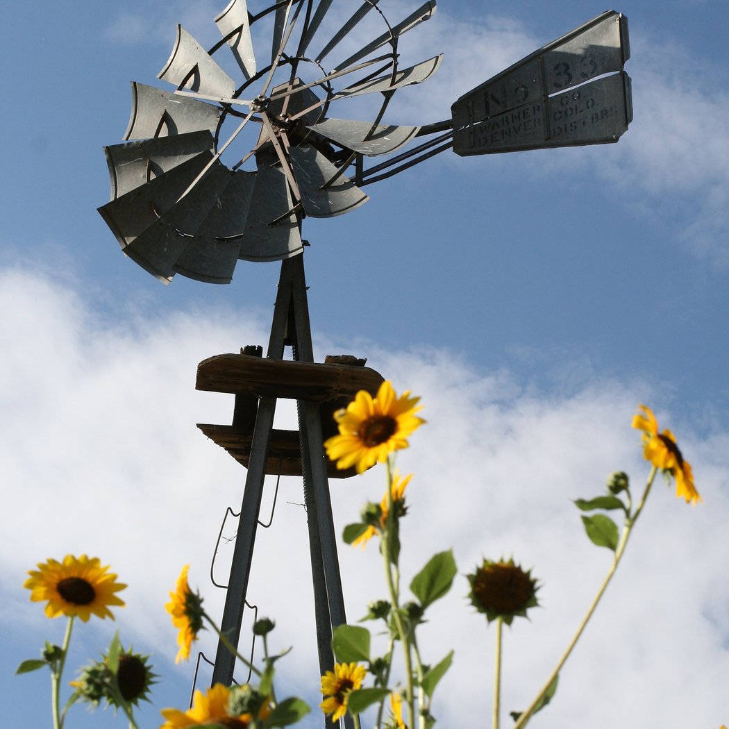 Berry Patch Farms,LLC 4
