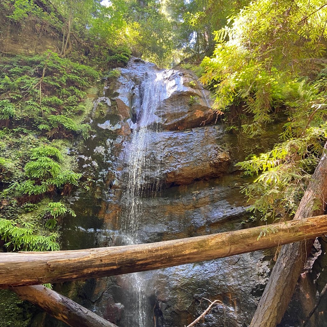 Berry Creek Falls 3