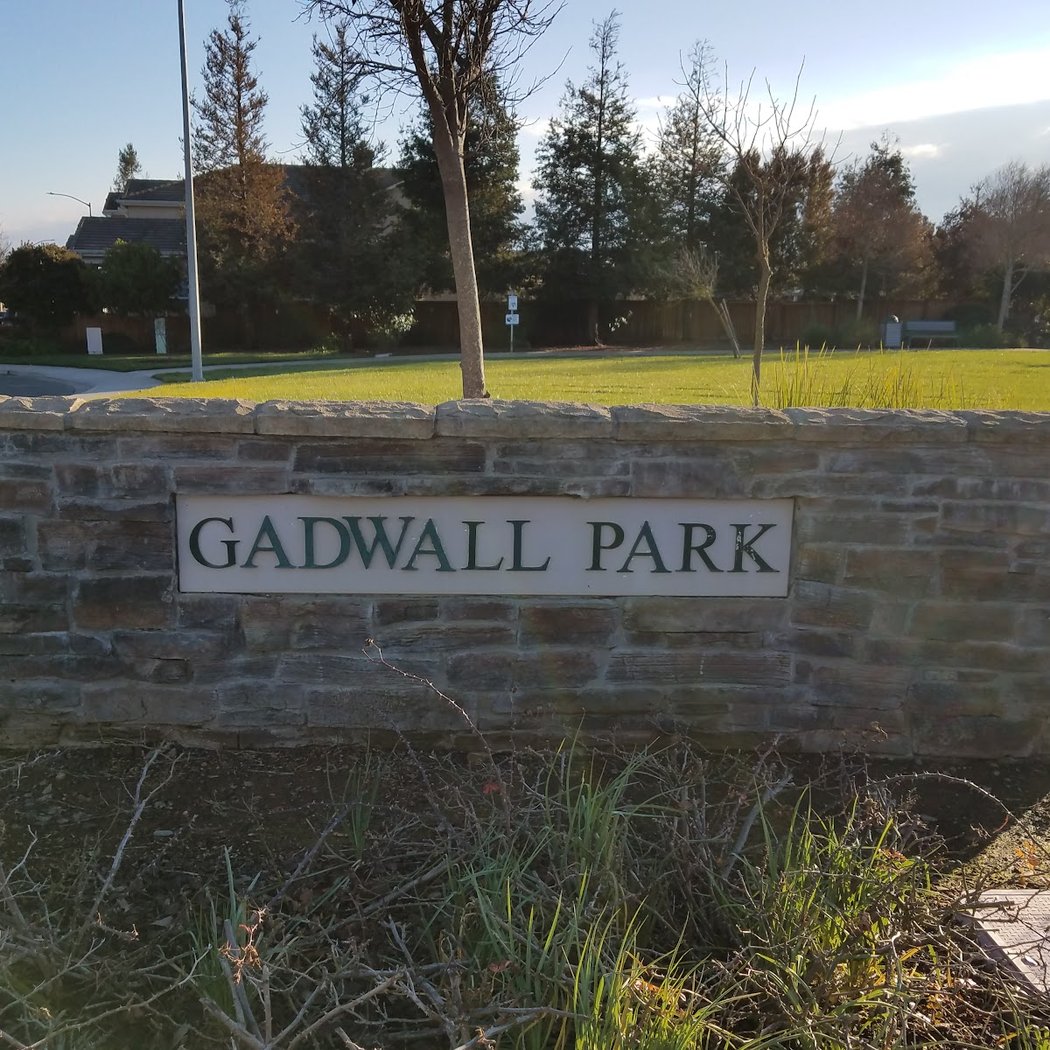 Gadwall Park 3