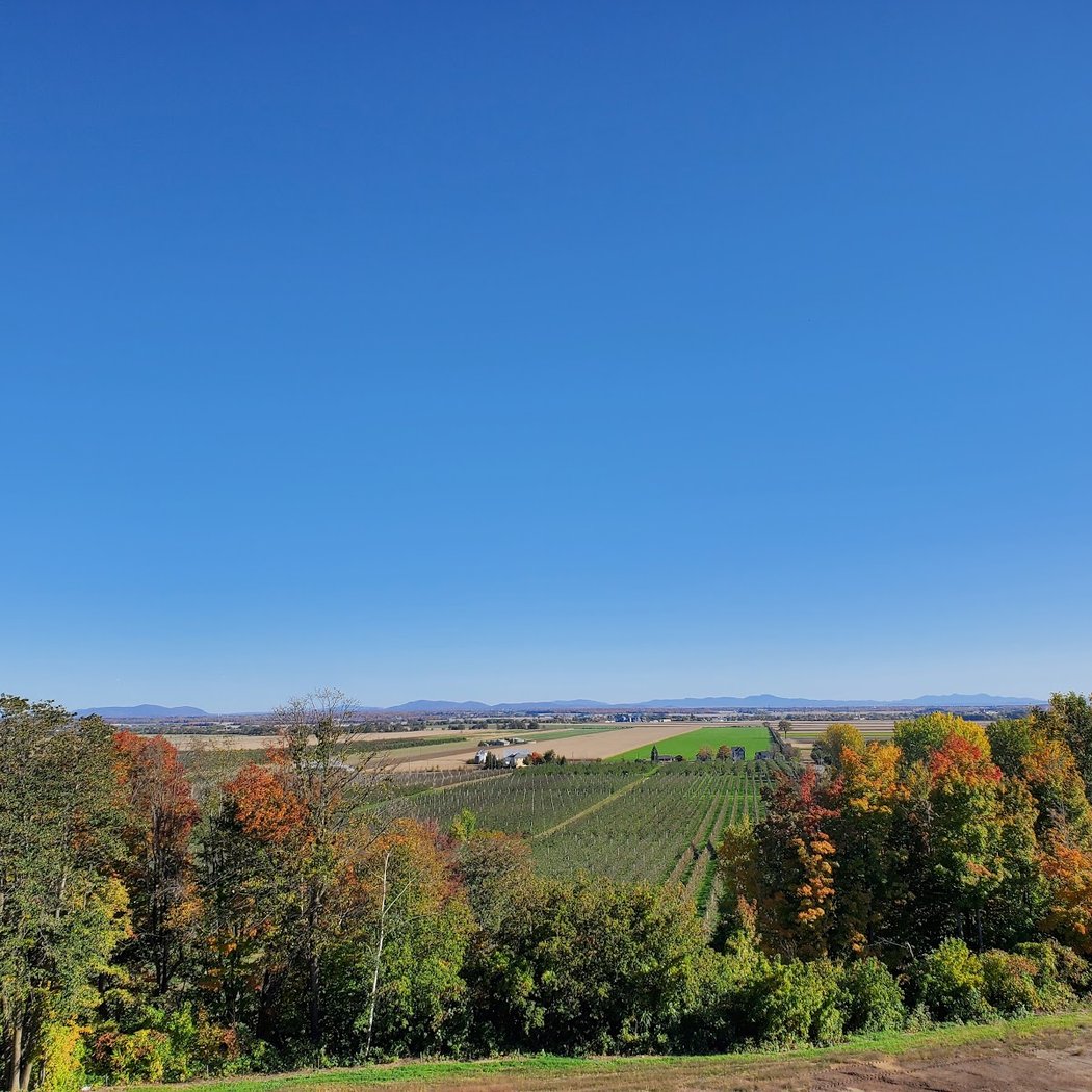 Coteau Rougemont - Vignoble & Cidrerie 3