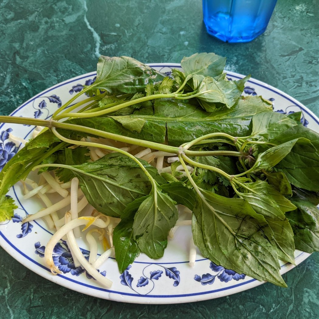 Phở Hòa Lão Vietnamese Restaurant 3