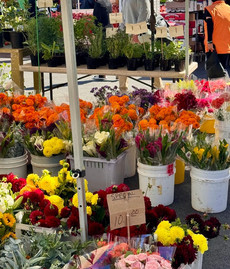 Civic Center Farmer's Market 3
