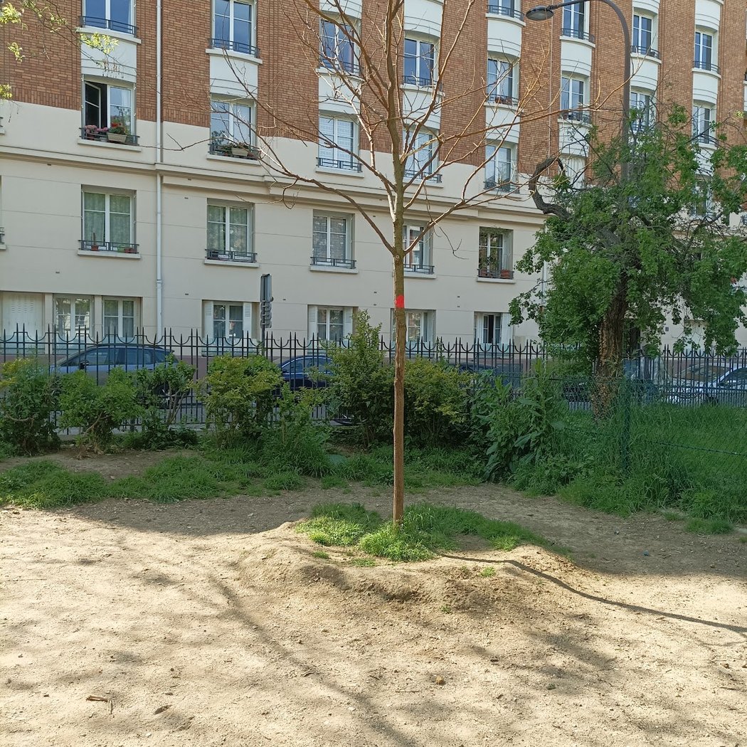 Espace canin - square rejane 4