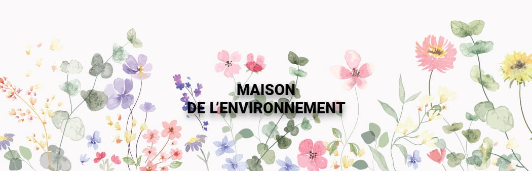Maison de l'environnement 3