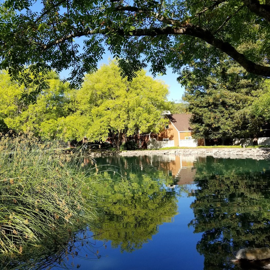 Vista Del Lago Recreation Center 2
