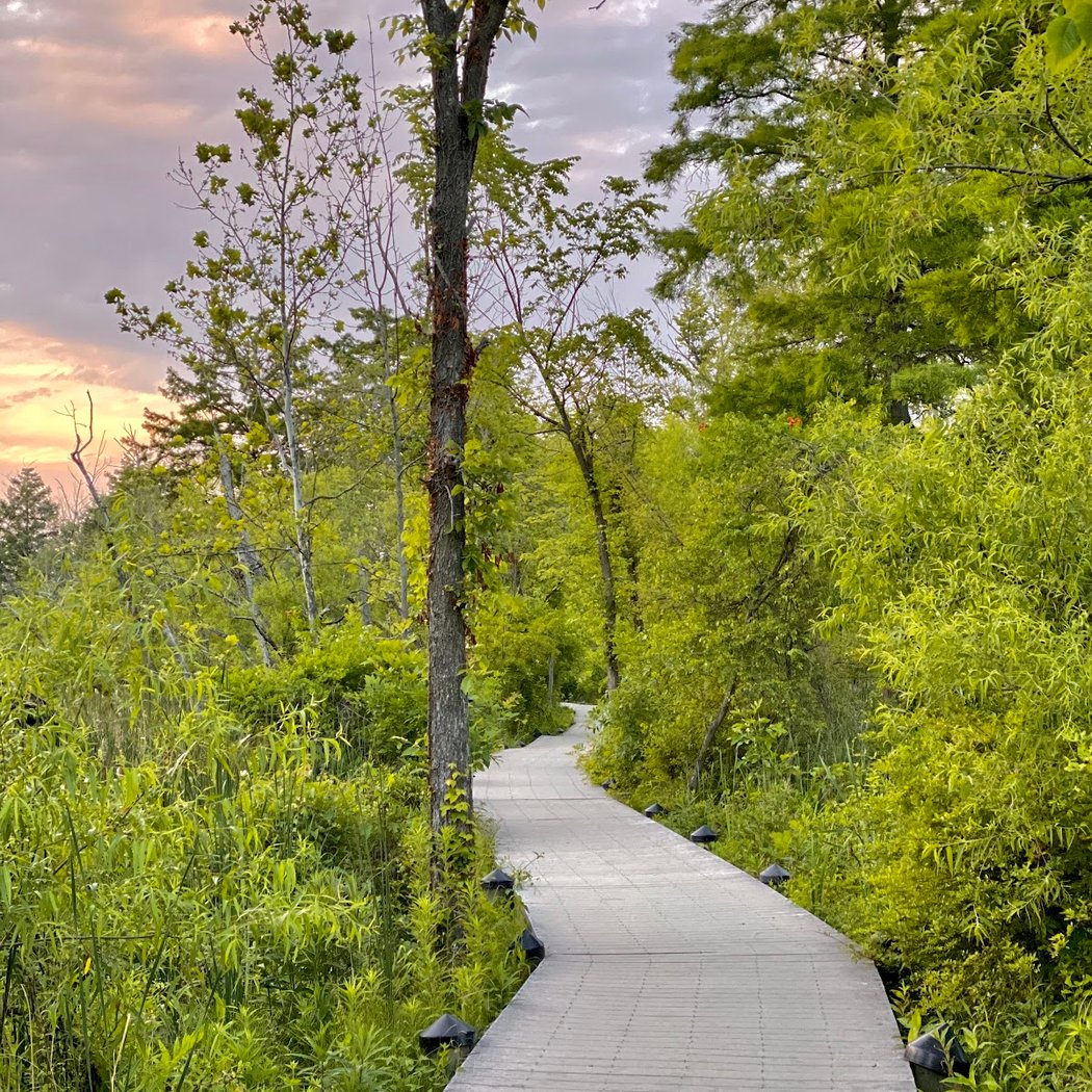 Theodore Roosevelt Island