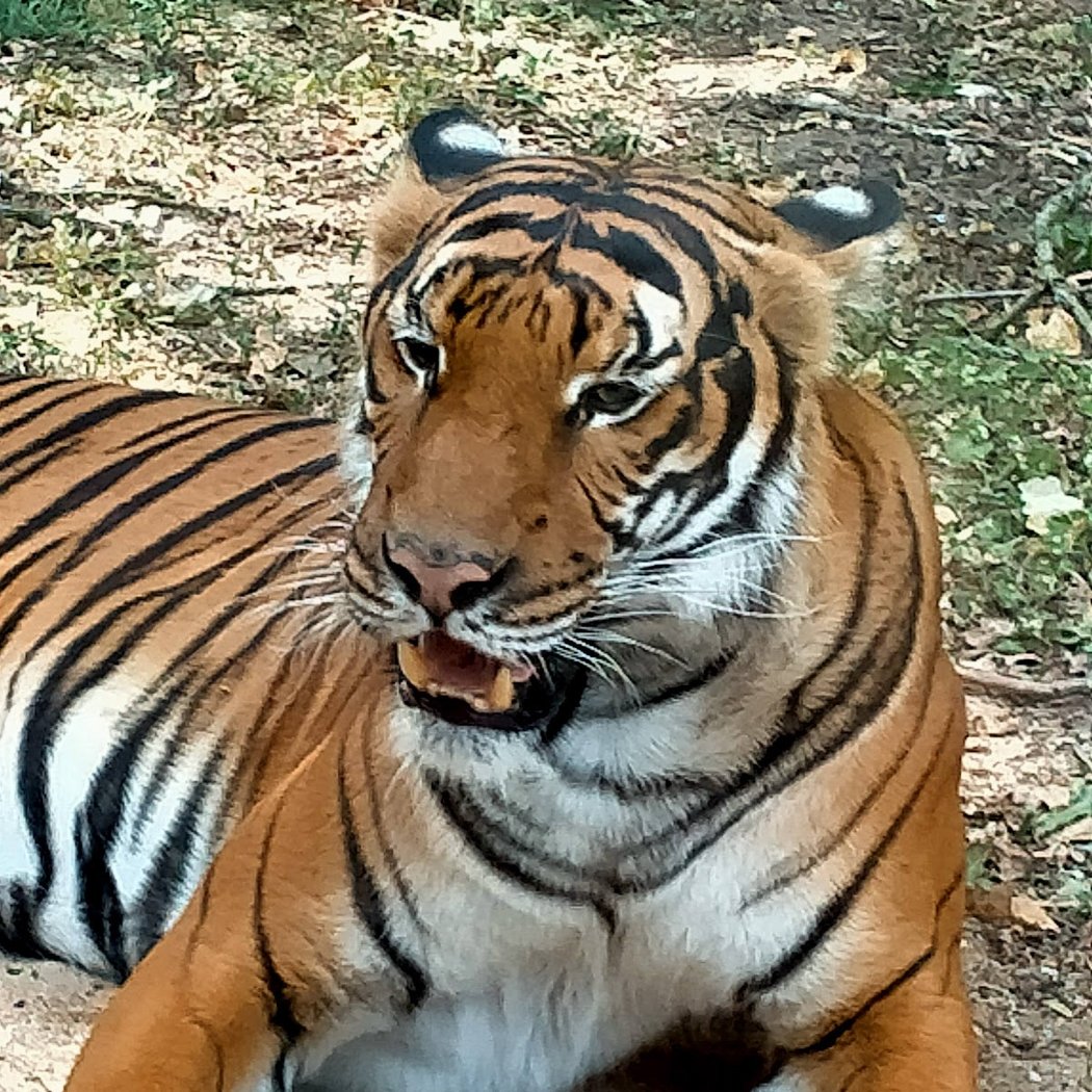 Natur'Zoo Mervent 3