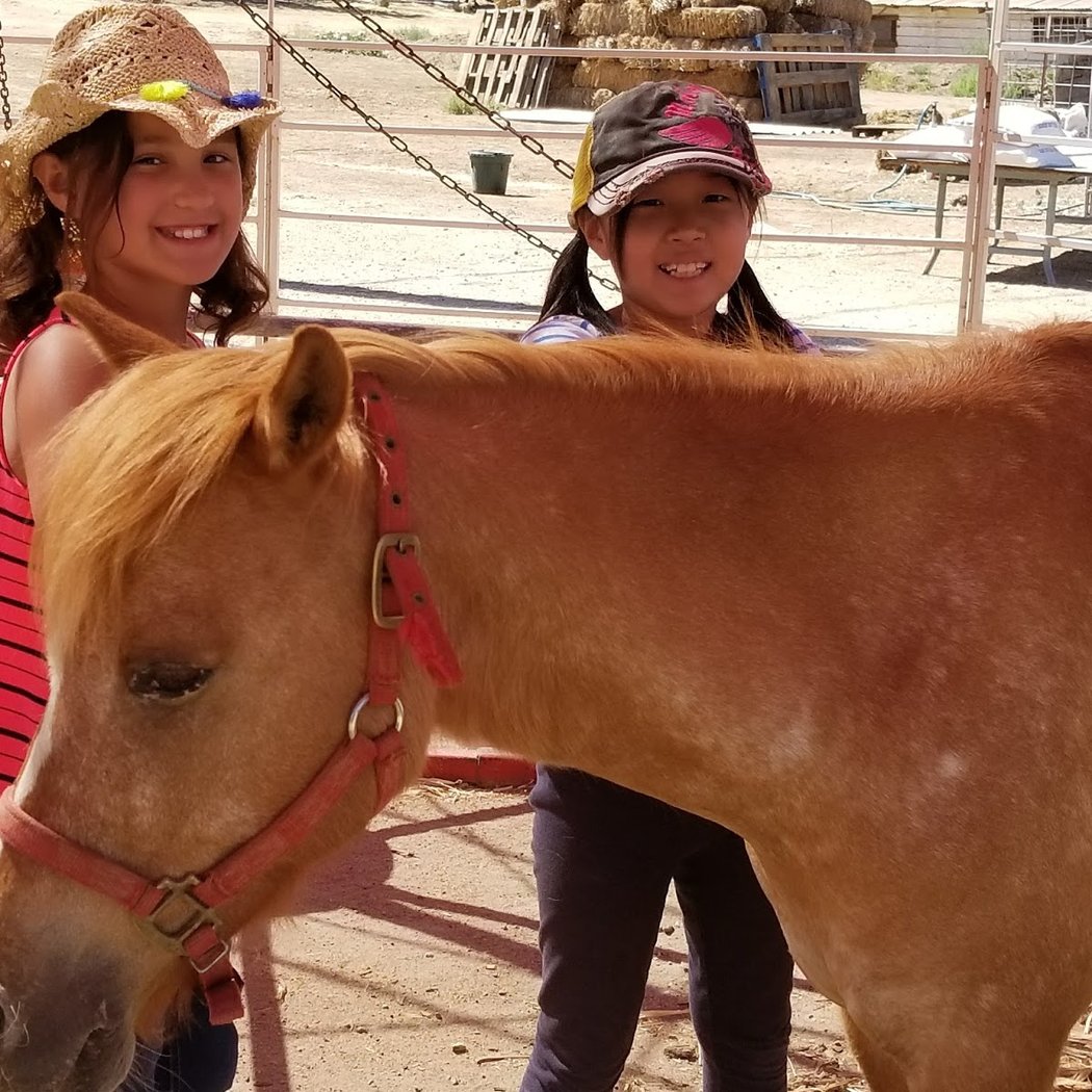Gilchrist Farm 3