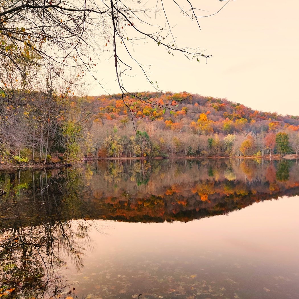 Ramapo Valley County Reservation 1