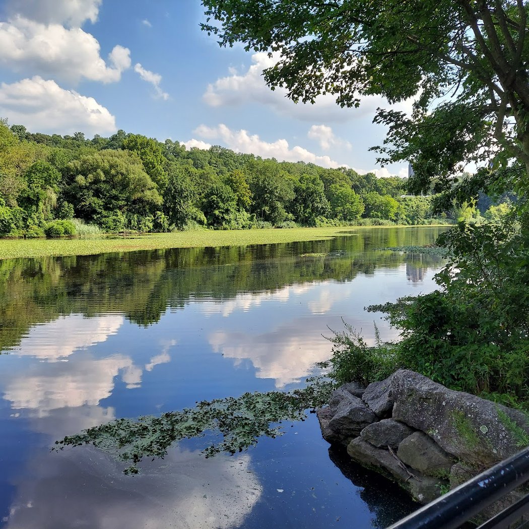 Birding Van Cortlandt Park 4