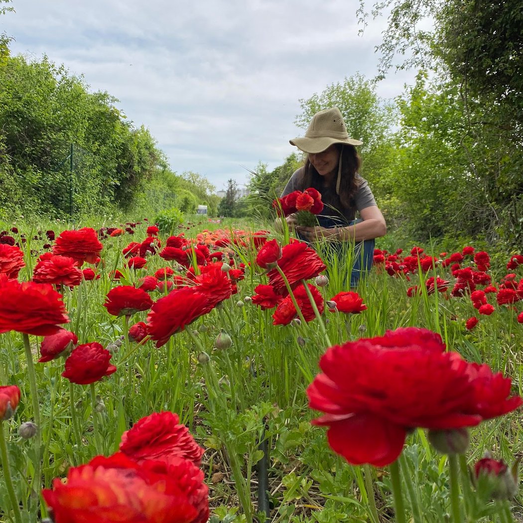 Murs à fleurs 2