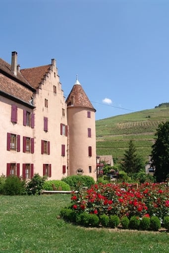 Domaine Château Wagenbourg - KLEIN Joseph & Jacky 3