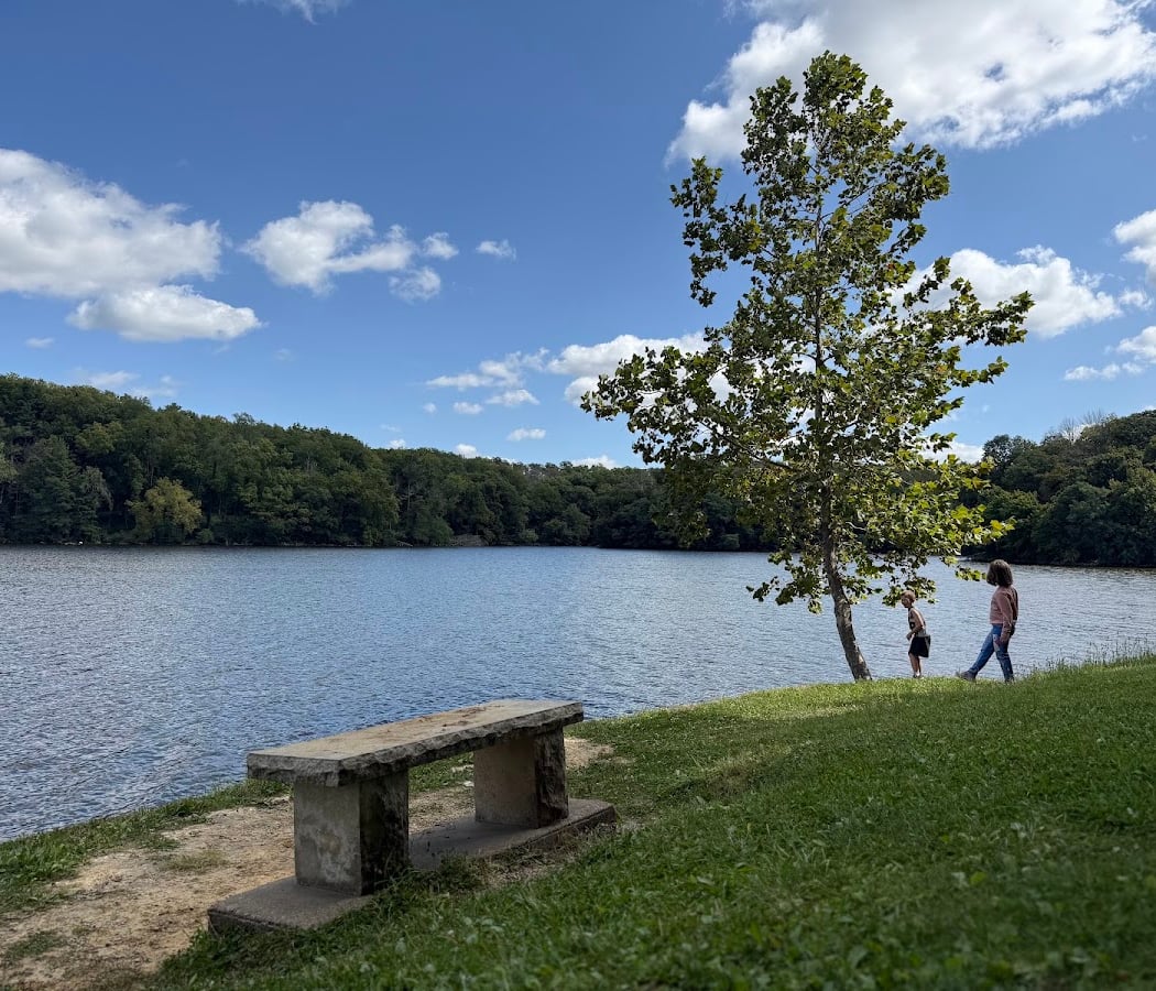 Hawk Watch at Lake Macbride State Park 2