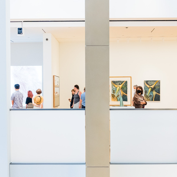 Spotlight Tours Thursdays | Anderson Collection 1